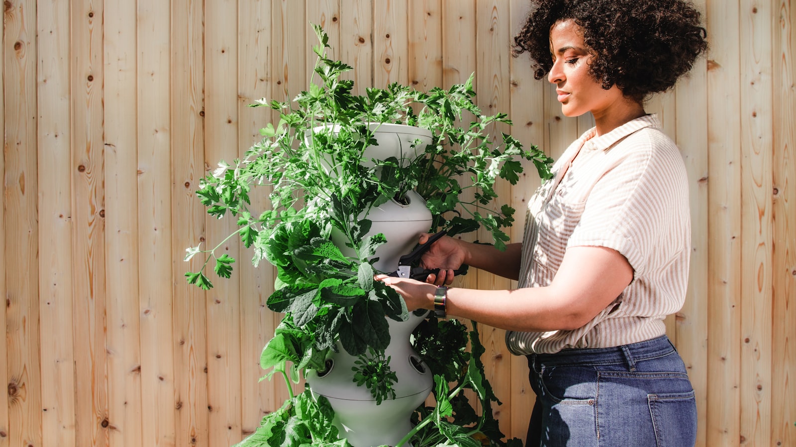 Digital Gardening untuk Pengembangan Diri: Cara Menumbuhkan Ide Pelan-Pelan agar Tidak Cepat Hilang